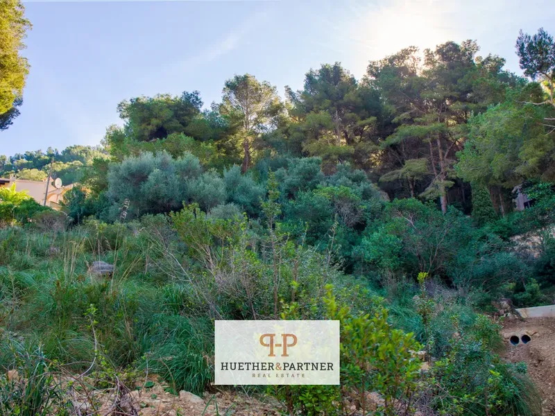 Land in Canyamel, Mallorca — photo 3