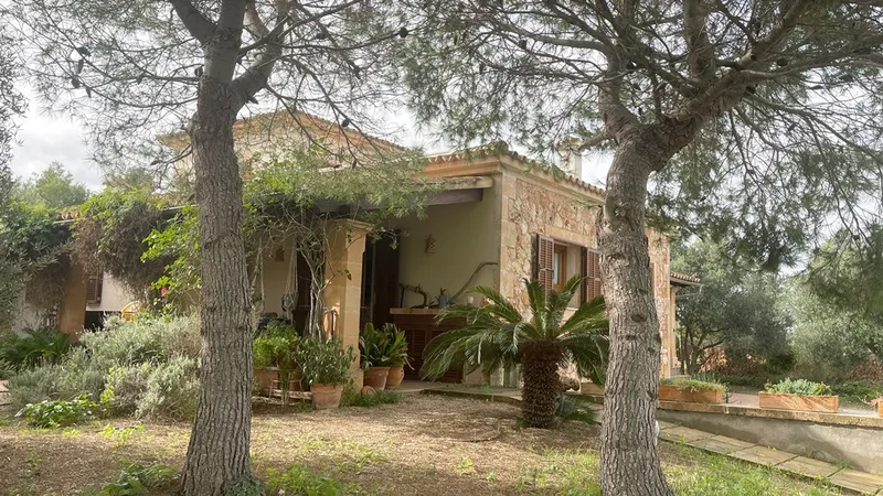 Country house with a stone façade, pool, and olive plantation in Llucmajor — photo 3