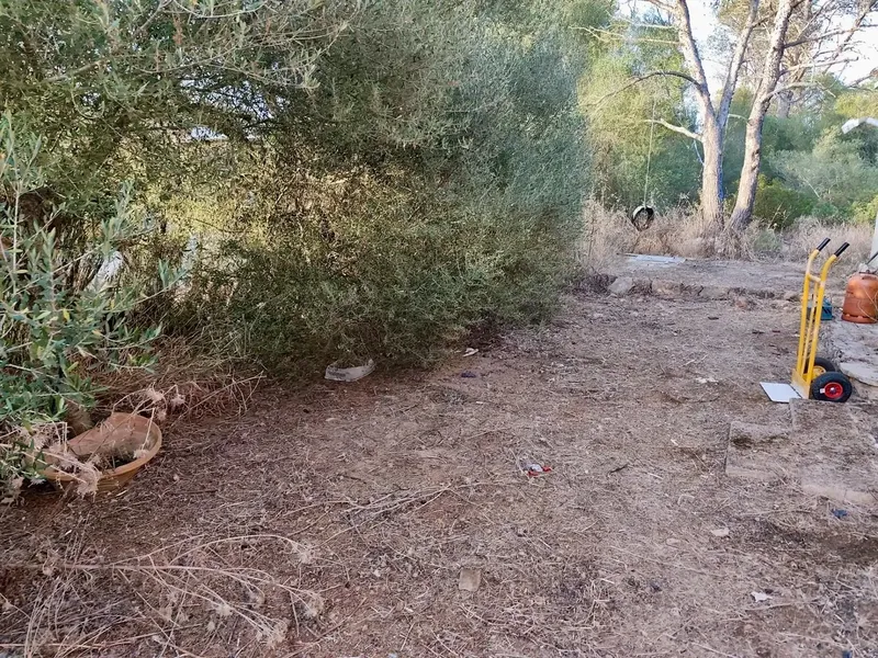 Looking for peace, nature and disconnection? This charming rustic finca in Algaida offers the perfect setting to enjoy the countryside — photo 10