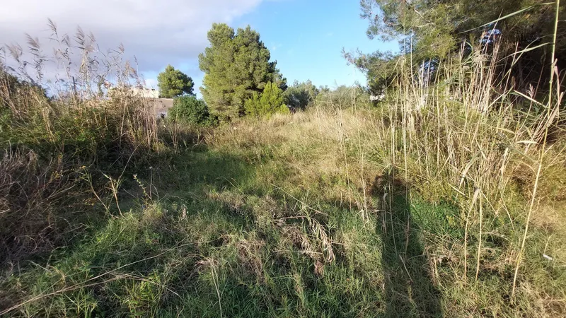 Buildable urban plot of 1,327 m2 in Port d'Alcudia — photo 2