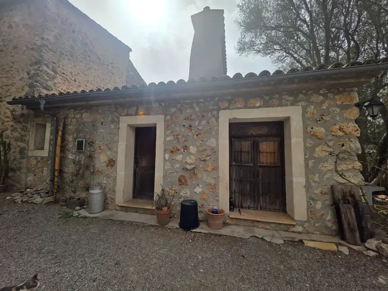 Beautiful rustic finca with pool in Pina — photo 8