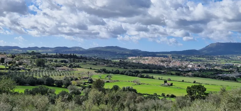 Country house project, 34,000 m² with building permit, mountain views, Montuiri — photo 5
