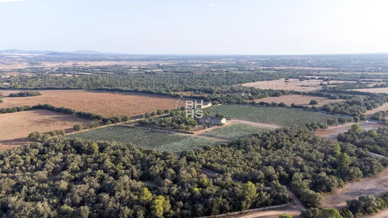 Rustic Finca for sale in Vilafranca de Bonany — photo 1