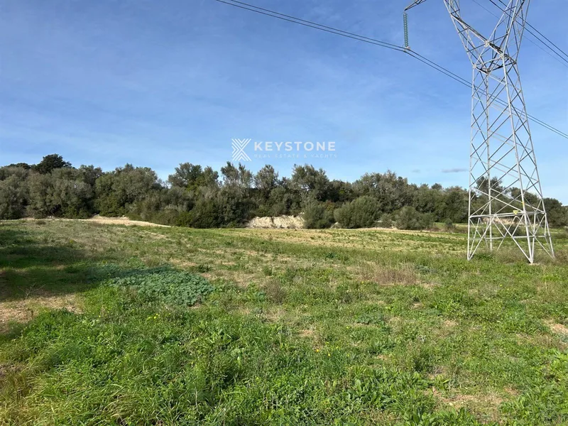 Plot — photo 6