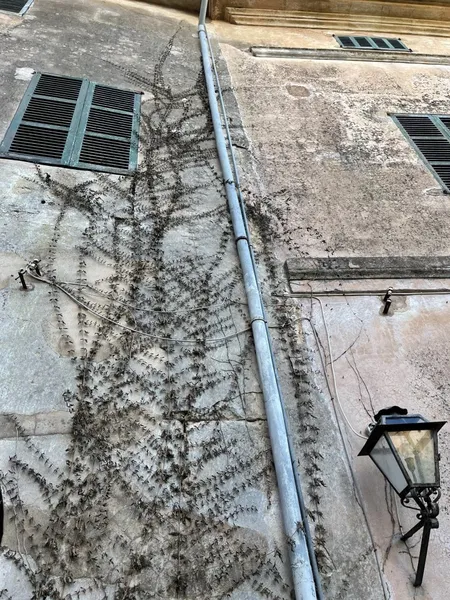 Impressive 19th century Townhouse in Llucmajor with renovation project — photo 3