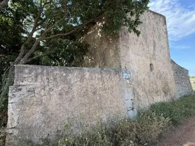 Rustic property - Manacor (outskirts), built surface 85 m², plot surface 28,442 m², 1 room, 1 bathroom — photo 8