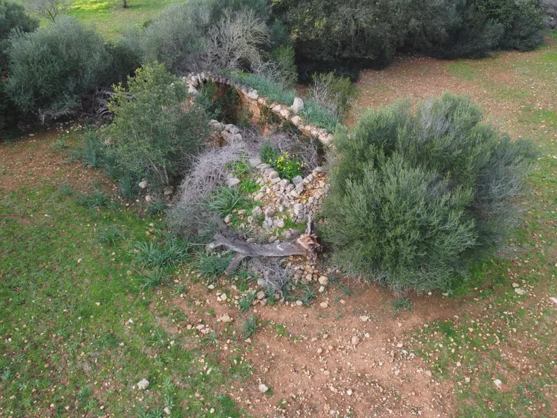 Son Blanc — photo 7
