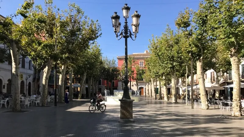 Urban plot for commercial use in Sa Pobla — photo 12