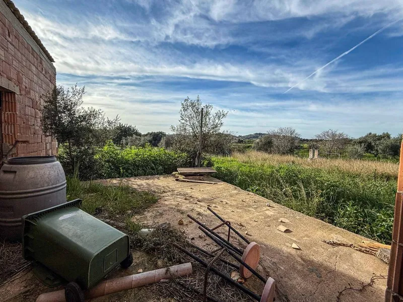 Rural or Farmhouse in Selva, Province of Balearic Islands — photo 5