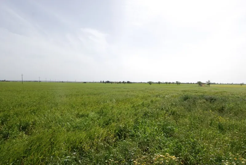 Spacious country house to reform on a large plot near Sa Rapita — photo 4