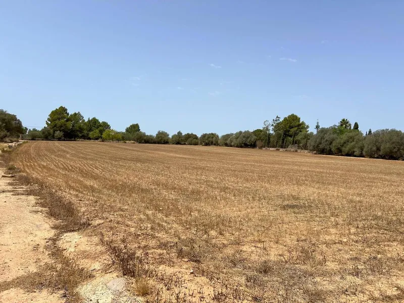 Rural or Farmhouse in Felanitx, Province of Balearic Islands — photo 8