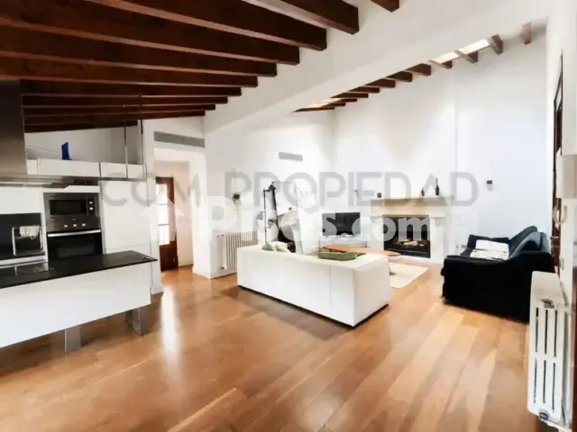 Apartment in La Seu — photo 1