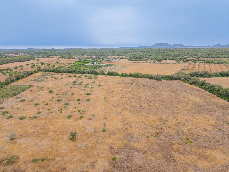 Rustic plot of 31,662 m² in Sencelles — photo 3