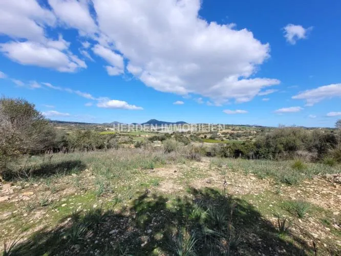 Building Plot for Sale in Manacor, Mallorca — photo 5