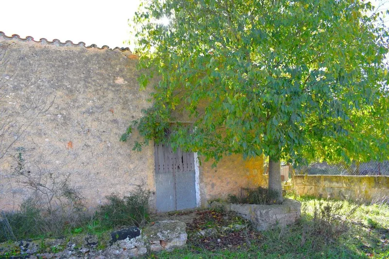 Land in Llubí, Province of Balearic Islands — photo 6