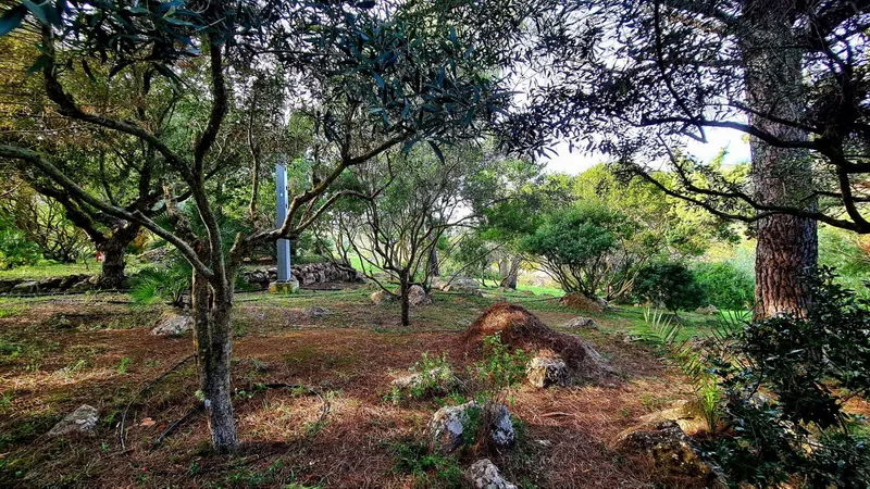 Charming finca fairytale property — photo 3