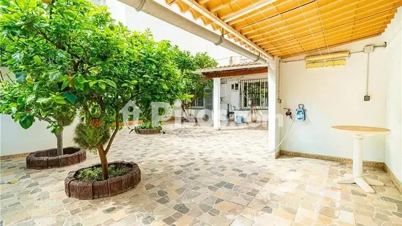 Apartment in El Secar de la Real — photo 2