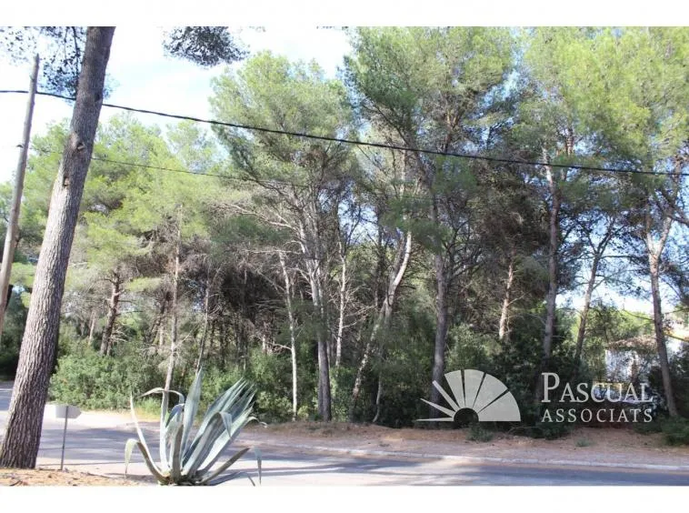 Plot for sale in Canyamel — photo 4