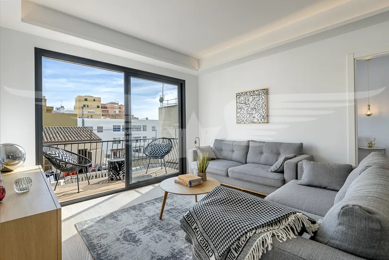 Top furnished penthouse with private roof terrace — photo 3