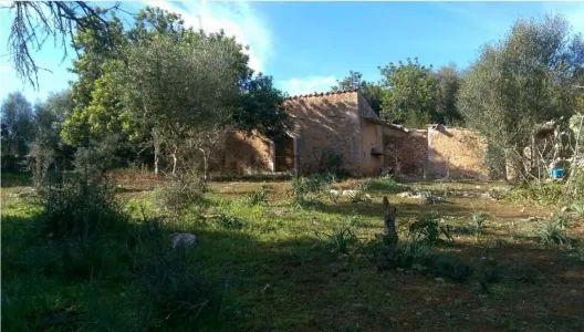 Rustic property - Inca (Zona periurbana), Plot Surface 9000m² — photo 1