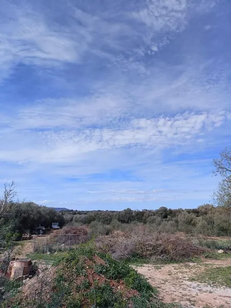 Rural or Farmhouse in Manacor, Province of Balearic Islands — photo 12
