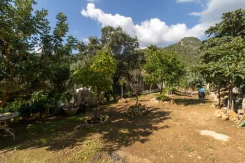 House — photo 7