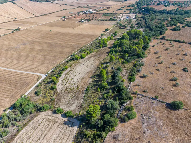 Buildable plot of 29,547 m² with open views in Petra — photo 6