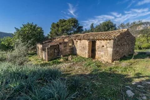 Rustic finca — photo 7
