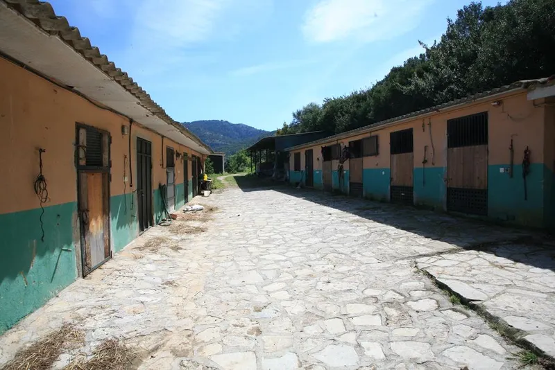 Ref. 2290C – Andratx – Finca with spectacular landscape views — photo 9