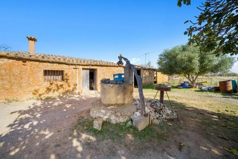 Finca of 24,823 m2 in Búger, currently with 337 m2 built, divided into 217 m2 of house with stables, a 60 m2 building, 147 m2 — photo 5