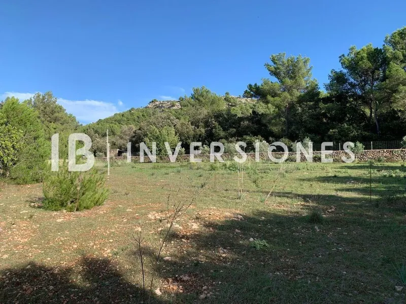 Land in Capdepera, Province of Balearic Islands — photo 11