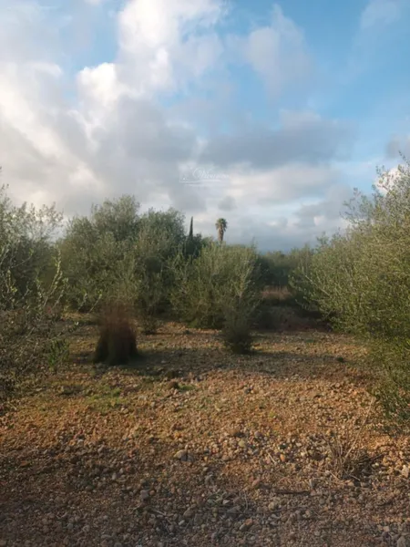 Plot — photo 1