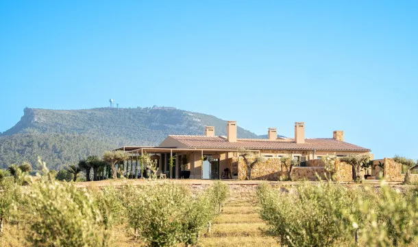 A blissful Mallorcan farmhouse sanctuary — photo 10