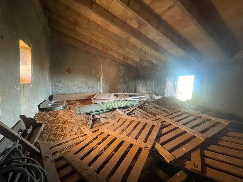 Rustic Estate of 44,771 m2 in Binissalem — photo 9