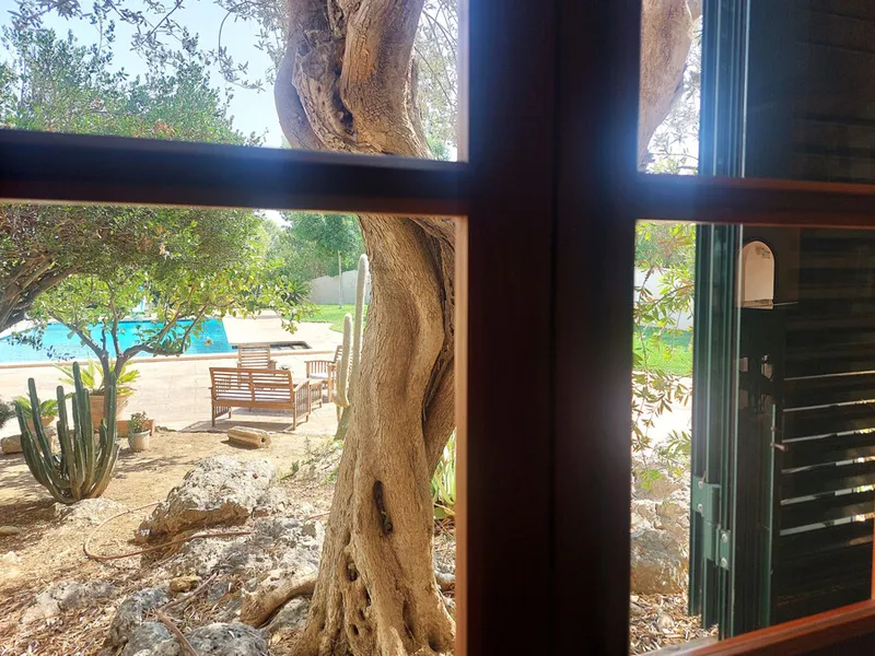 Beautiful Country House with Mountain Views and Private Pool on a 7000 sqm Plot — photo 10