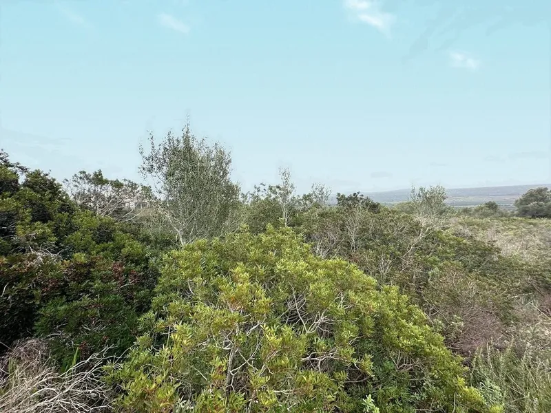 Land in Marratxí, Province of Balearic Islands — photo 4