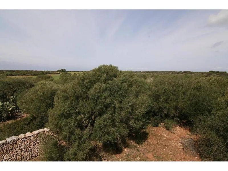 Rustic house for sale in Llucmajor of 200 m2 — photo 3