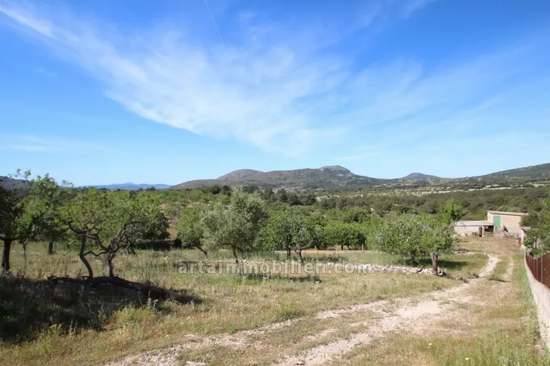 Finca Rustica in Arta — photo 1