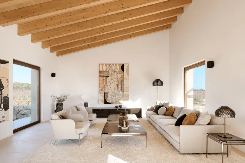 Newly built estate with vineyards in Biniali — photo 4