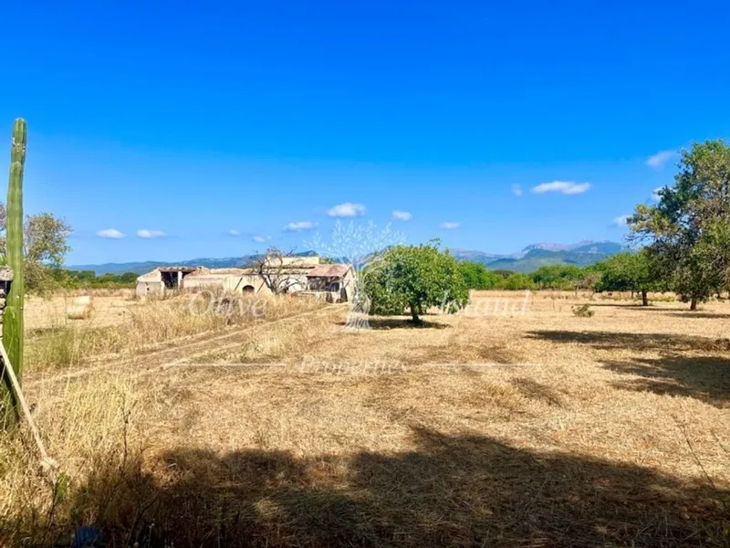 Land in Inca, Province of Balearic Islands — photo 1