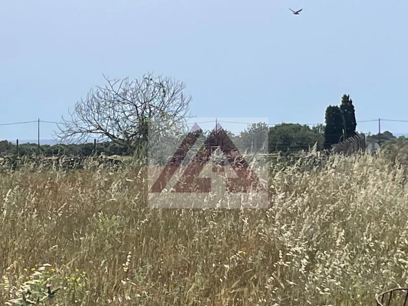 Rustic land for sale in Santanyi — photo 1