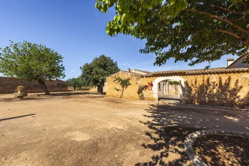 Inca: Finca estate with attractive investment opportunities, lots of land and a dreamlike view near Inca — photo 4
