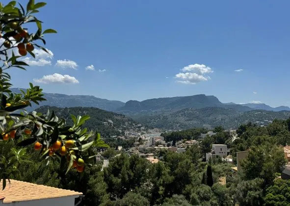 Studio in Calle de Bèlgica, 69, Soller — photo 2