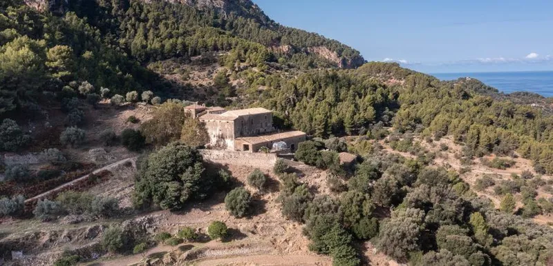 Historic estate with defense tower and 311 hectares with sea views near Estellencs — photo 6