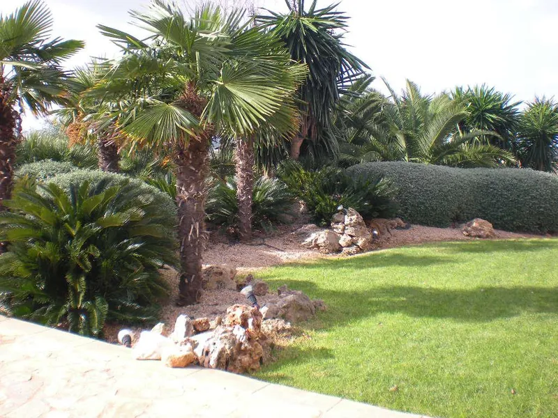 Rustic house in Manacor — photo 6