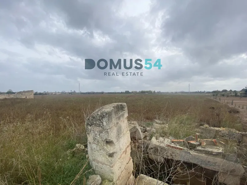 plot in Sa Pobla — photo 2