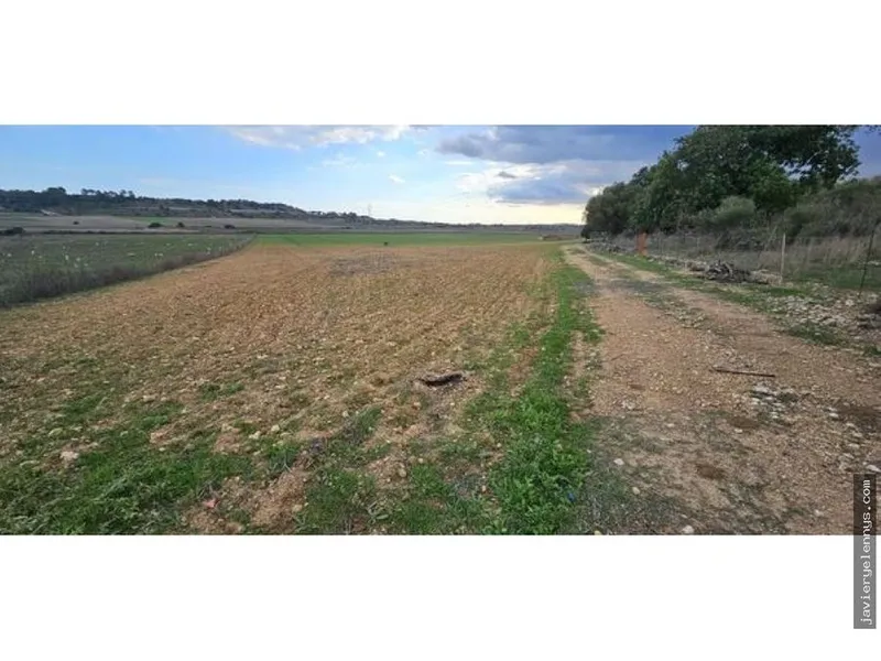 Plot for sale on Camino de Son Reixach s/n — photo 5