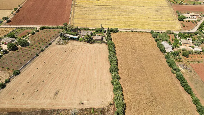 Unique plot of over 17,000 m² – Build your project in Mallorca — photo 10