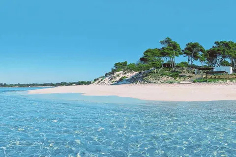 Apartment in Colonia de Sant Jordi, Mallorca — photo 12