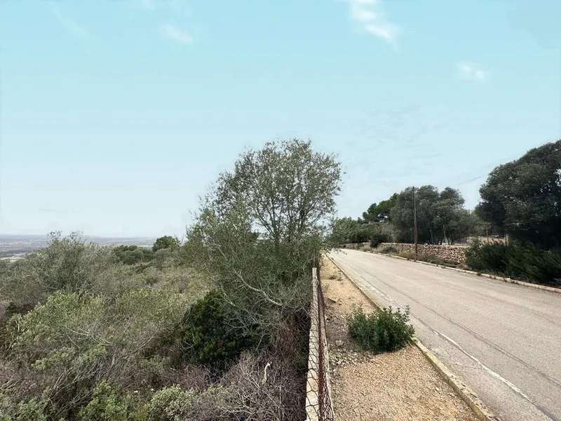 Land in Marratxí, Province of Balearic Islands — photo 2